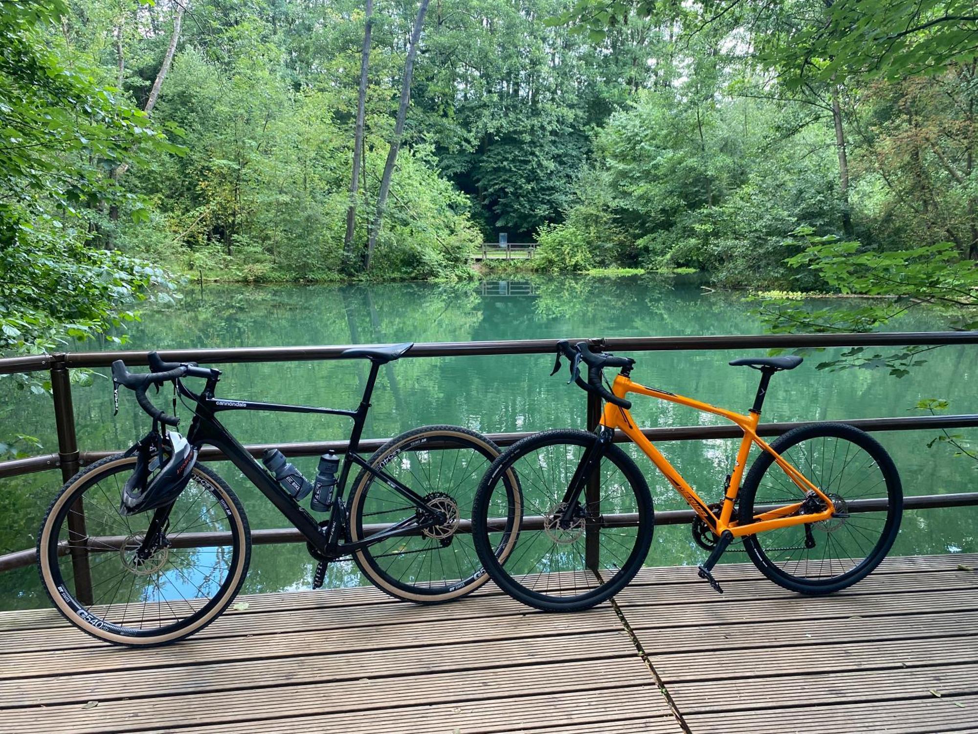 Ferienwohnung Sued - West Harz Mit Sauna E-Bikes Vorhanden! Horden am Harz Экстерьер фото